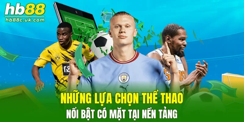 4 trò thể thao giải trí cực hot tại nhà cái