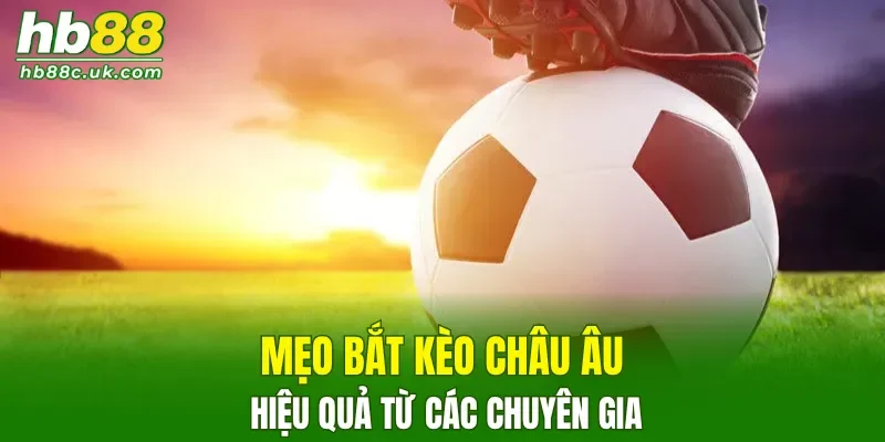 Đừng cược theo cảm tính